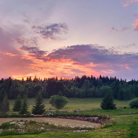 Harghita Log Houses Izvoare  Eksteriør bilde