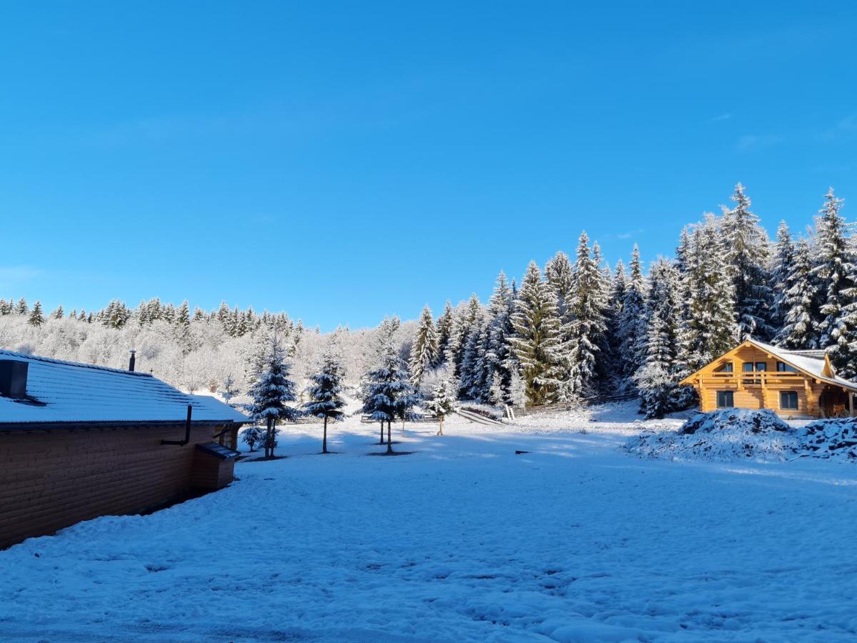 Harghita Log Houses Izvoare  Eksteriør bilde